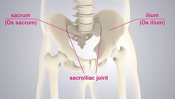 dolor pélvico articulaciones de